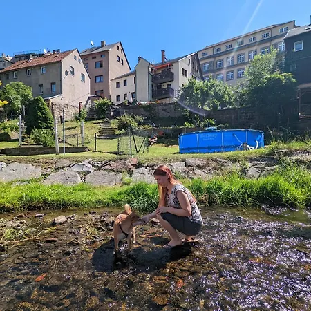 Urlaubsmagie - Heidelbeere - Gemeinschaftsgarten, Sauna & Saisonaler Pool Apartament Sebnitz